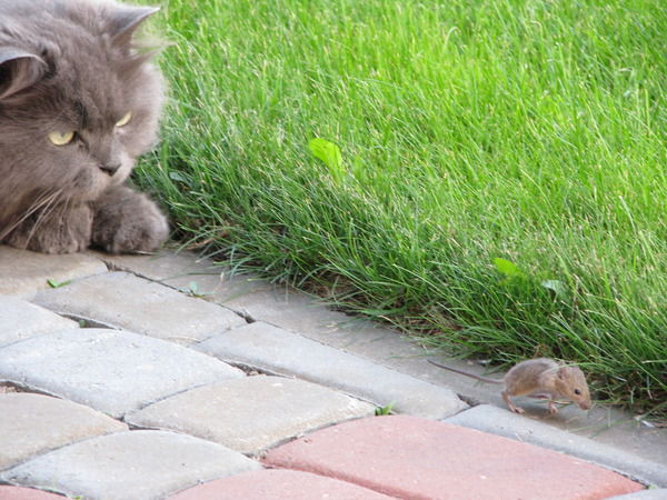 Наталья Борисюк