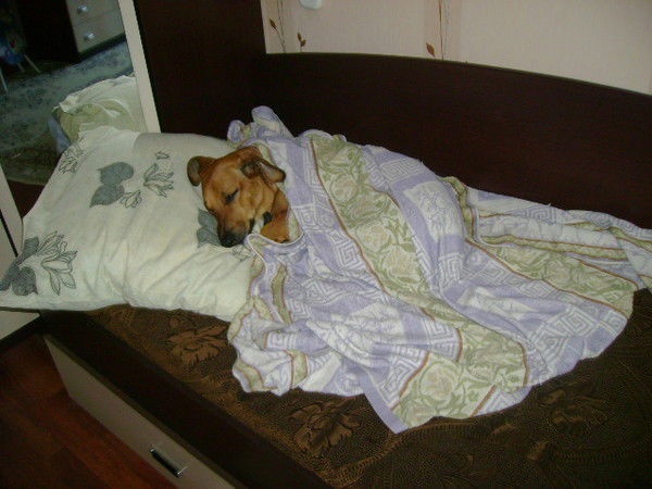 Настенька ********