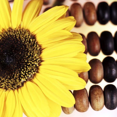 Ковалевская Софья