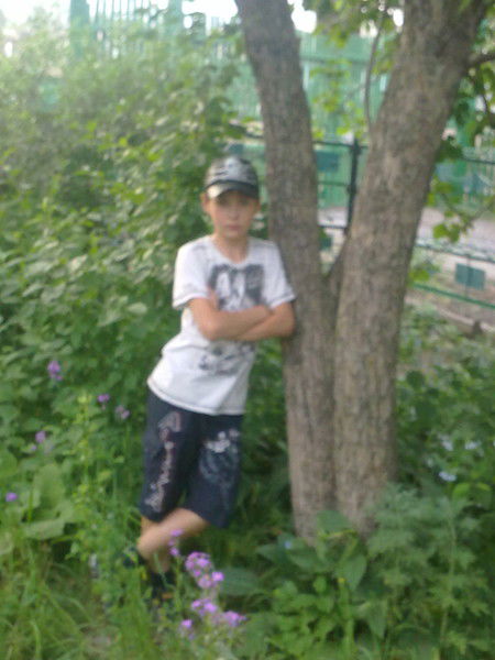 ***dima** **turba***