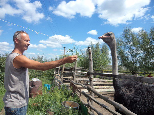 Миша Крайдуба