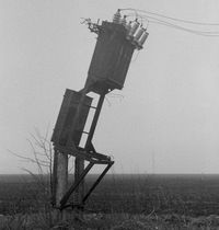 Рашгильд Фальк