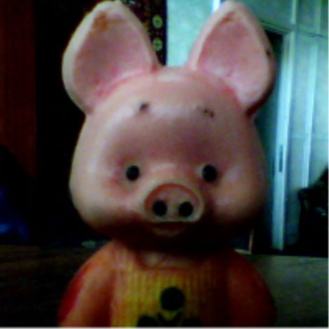 Дмитрий Елшанкин