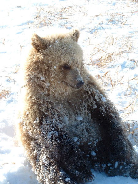 Михаил Юрьев