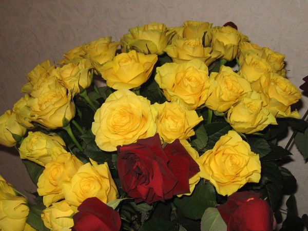 Гончарук Ольга