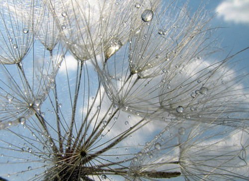 Юлия Викторовна