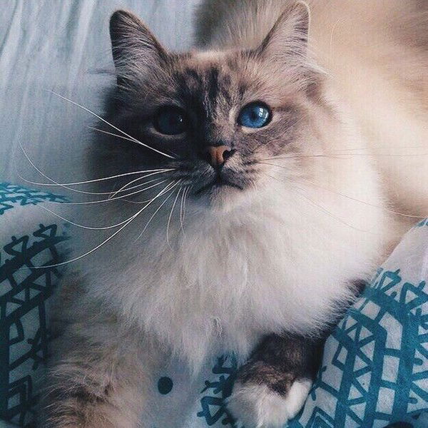 Татьяна Мусакова