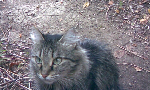 Natali Скоморохова