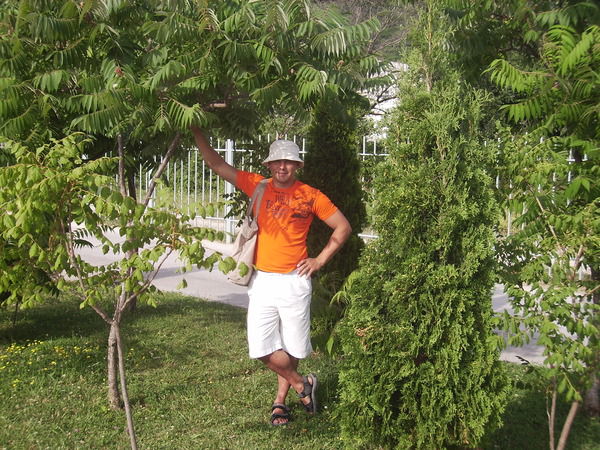 Алексей Киселев