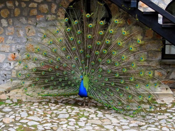 Кенжаим Бимбетова