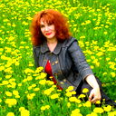 Елена Шахова