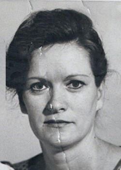 Елена Стахова