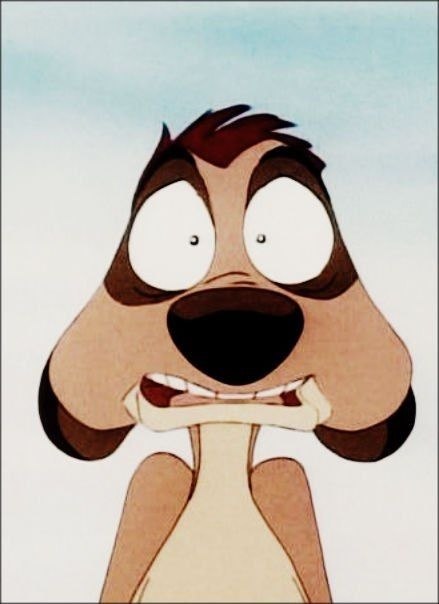 Яна Конюхова