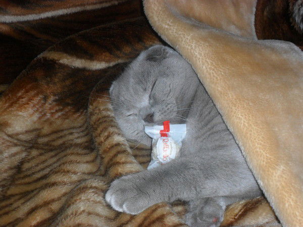 Ирина Филиппова