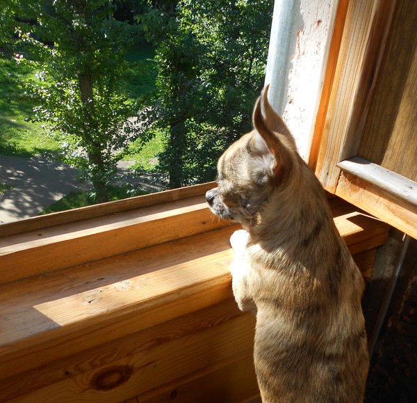 Вера Суханова