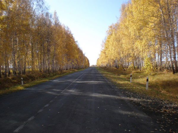 Силантьев Дмитрий