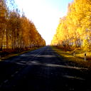 Силантьев Дмитрий