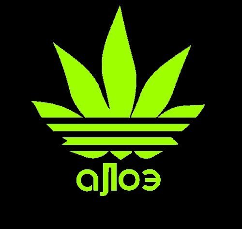 Некит Гугалоо