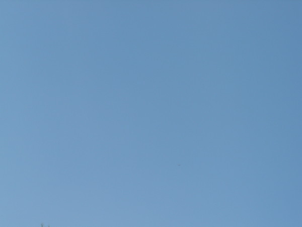 Сергей Ульянов