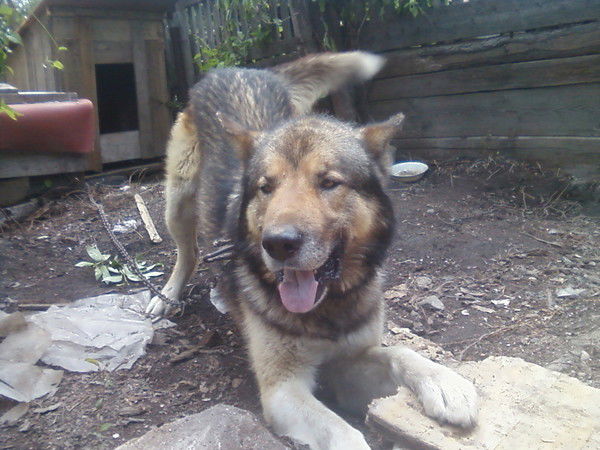 Александра Саушкина