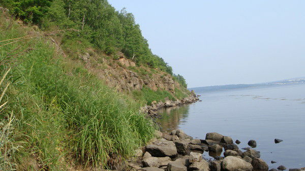 Анатолий Лопатко