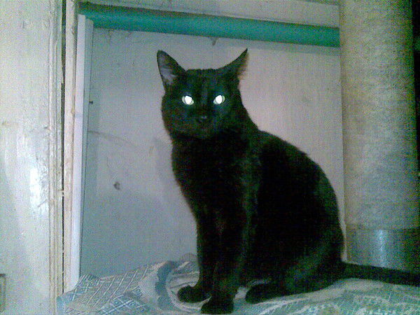 Аристарх Вахаев