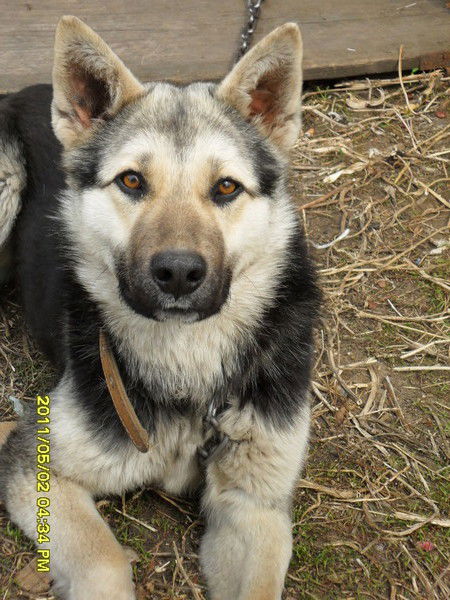 Виталий Донин