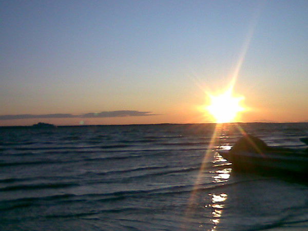 Ирина Лонгортова