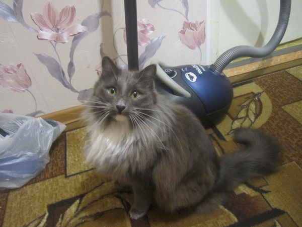 Наталья Завьялова