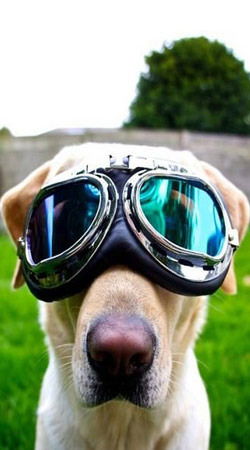 Славик Жмачинский