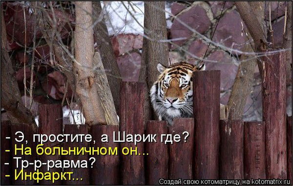 Игорь Гизатуллин