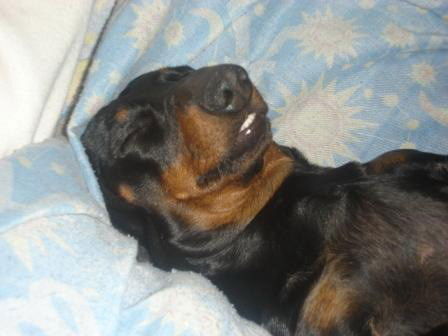 Андрей Климов