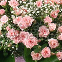 Владимир Зимогляд