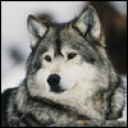 Алексей Самсонов