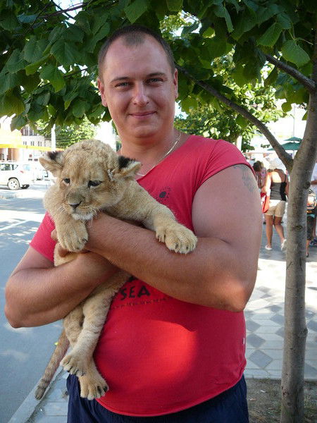 Александр Майоров