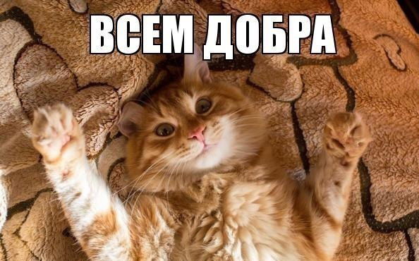 Катерина Кириленко