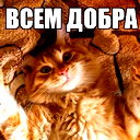 Катерина Кириленко
