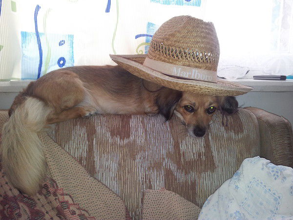 Наталья Иванкова