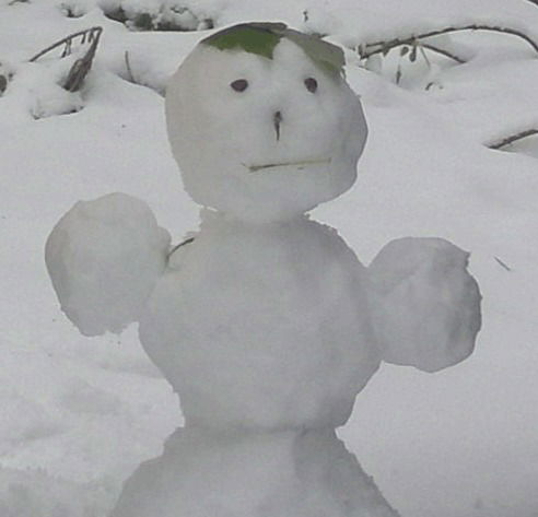 Николай Антонов