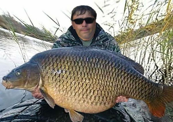 Дмитрий Чеботарев