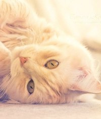 Розалина Мухаметшина