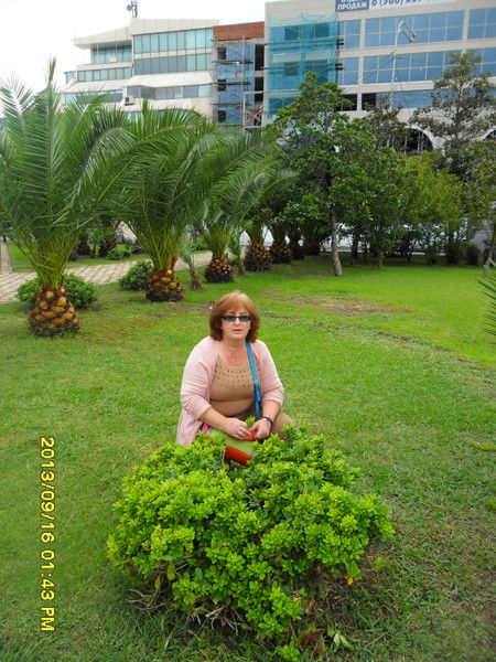 Козетта Карданова