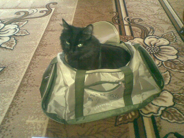 Надя Жилкова