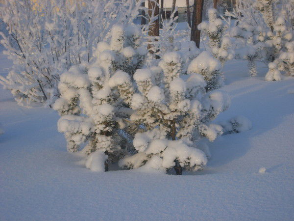 Эльвира Байдуганова
