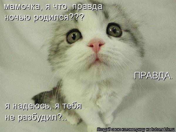 Шах Гамидов