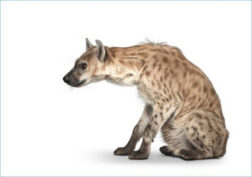 Сергй Пушкн