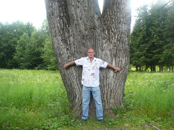 Алексей Алхимов