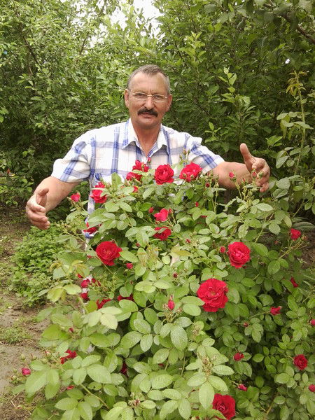 Анатолий Афонин