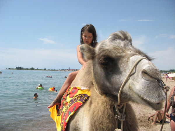 Алла Нечаева