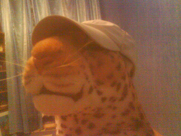 Андрей Решетников